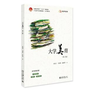 大学美育（第二版） 黄高才 全国高等院校规划教材·公共课系列 北京大学旗舰店正版