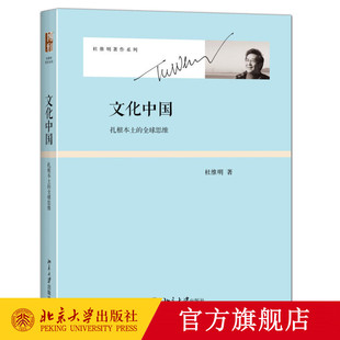 文化中国：扎根本土的全球思维 杜维明著作系列 北京大学旗舰店正版