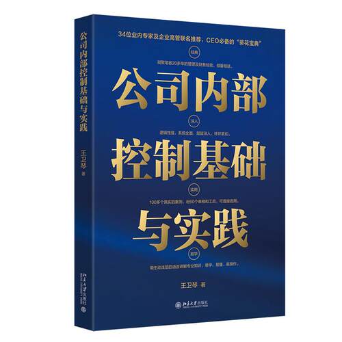 公司内部控制基础与实践 你应该懂的内部控制常识 内部控制基本概念 搭建数字信息化传递系统 内部控制审计 北京大学出版社旗舰店