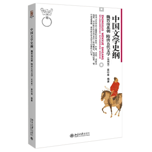 中国文学史纲 魏晋南北朝隋唐五代文学第四版 袁行霈 博雅大学堂文学丛书 中国文学史入门书 文学史纲课程教材 北京大学旗舰店正版