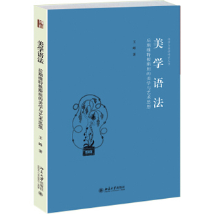 美学语法:后期维特根斯坦的美学与艺术思想 诗学与美学研究丛书 北京大学旗舰店正版