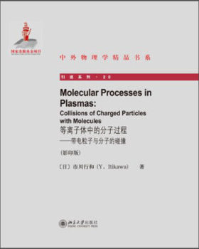 等离子体中的分子过程——带电粒子与分子的碰撞 中外物理学精品书系 引进系列 北京大学旗舰店正版