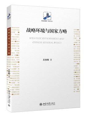 战略环境与国家方略 未名社科菁华 国际关系学 北京大学旗舰店正版