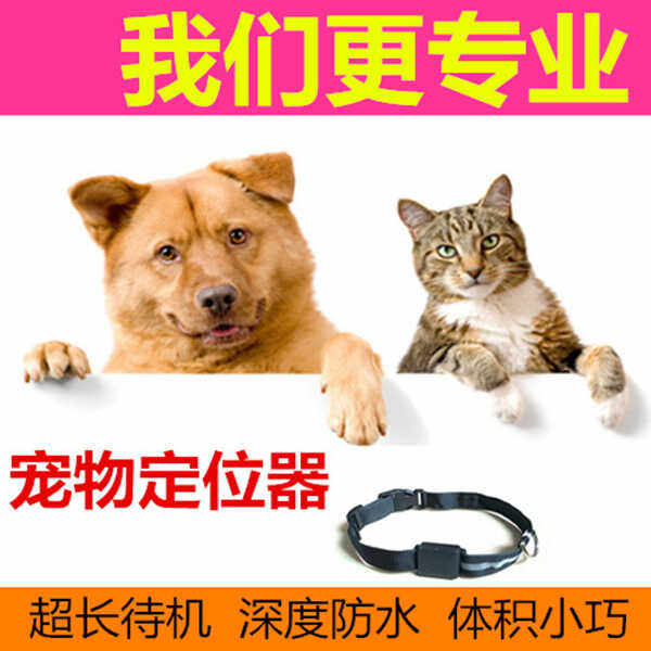 防水跟踪猫咪宠物5G项圈