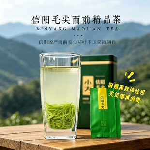 信阳毛尖2026年新茶雨前茶春茶特级口粮茶袋装