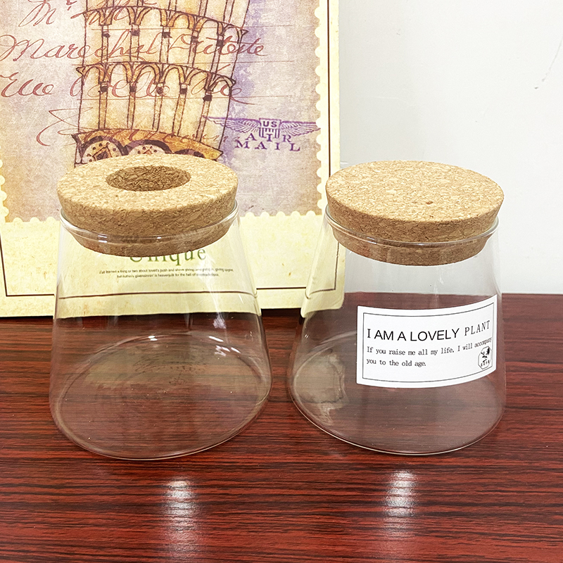 水培花盆透明玻璃精致好看