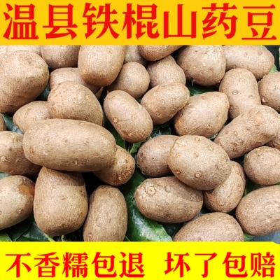温县铁棍山药豆产地直发质量保证