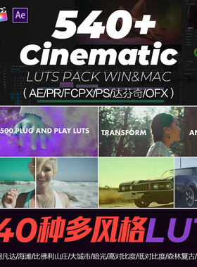 560种多风格LUTs视频PR调色古风滤镜AE/FCPX/PS/达芬奇/win&mac