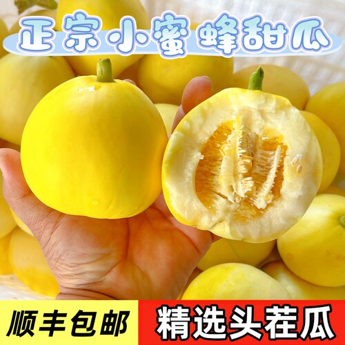 正宗头茬小蜜蜂甜瓜脆甜爆汁