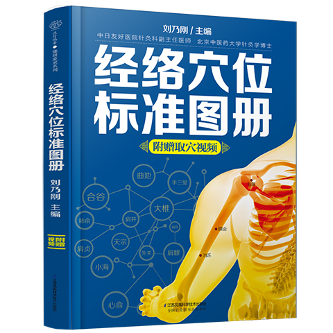 经络穴位标准图册  中医推拿按摩书养生书籍大全养生书籍人体经络穴位图解书