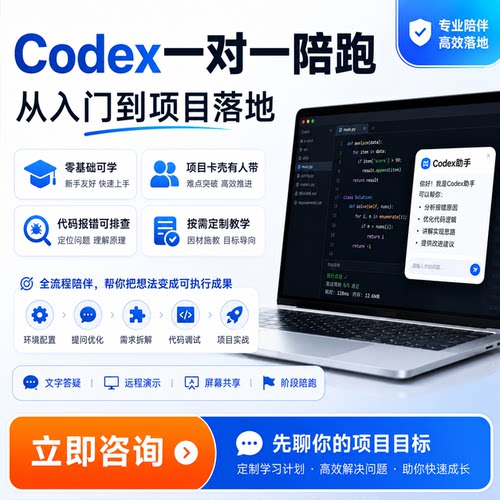 Codex一对一陪跑AI编程教学零基础代码报错调试项目开发远程指导