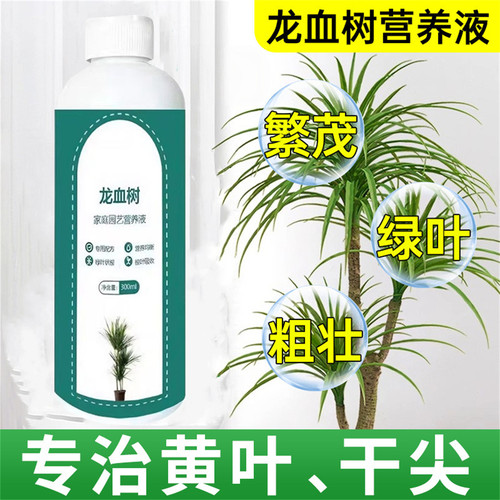龙血树专用营养液促长治黄叶护根