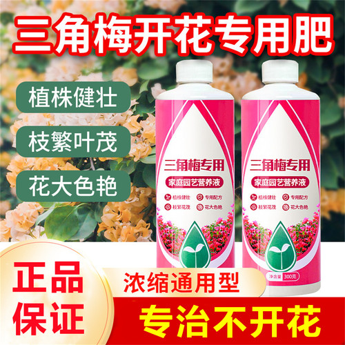 三角梅专用营养液促花营养液肥料