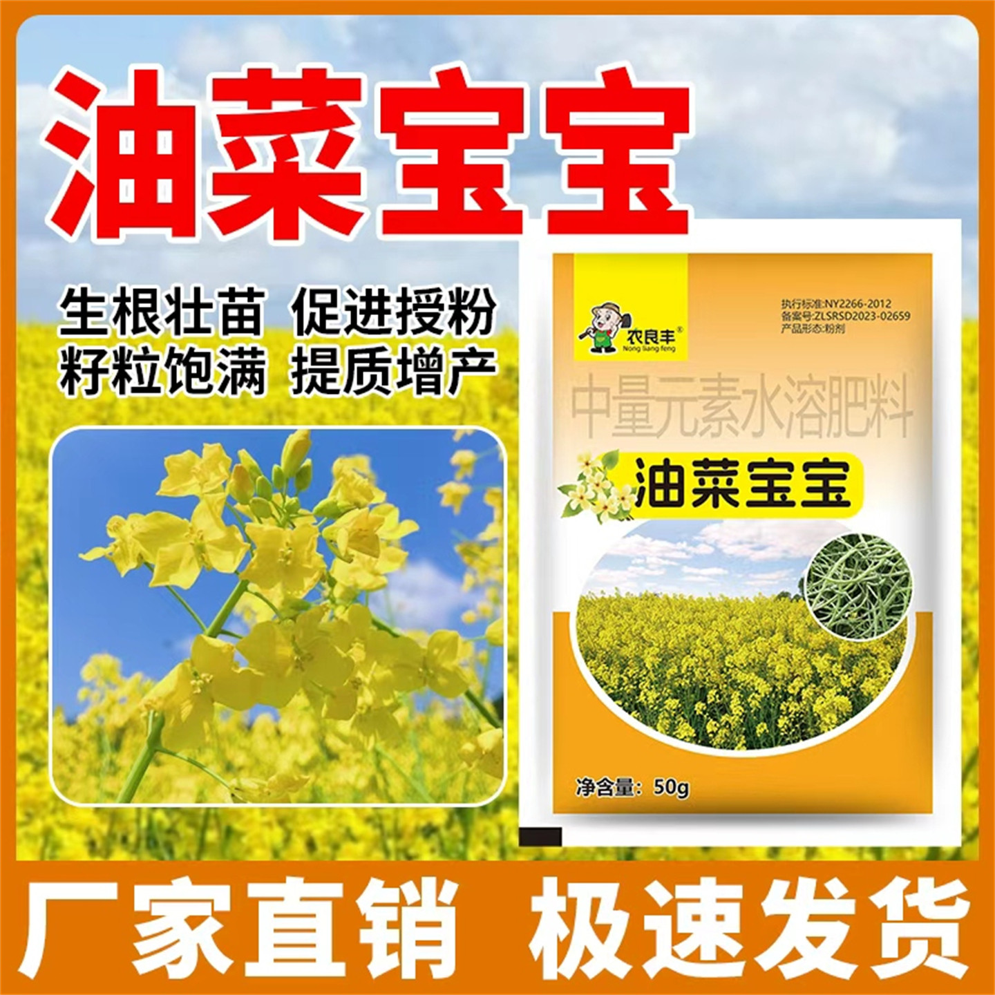 油菜种植专用肥油菜宝宝水溶肥料抗倒伏促进授粉籽粒饱满提质增产