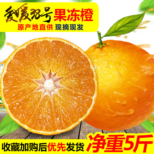产地直发果冻橙自家果园