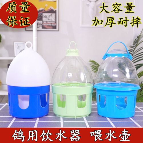 鸽子信鸽水壶自动水壶