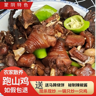 山东临沂蒙阴枣庄辣子鸡徐州济宁滕州真空台儿庄特产炒鸡整只现杀