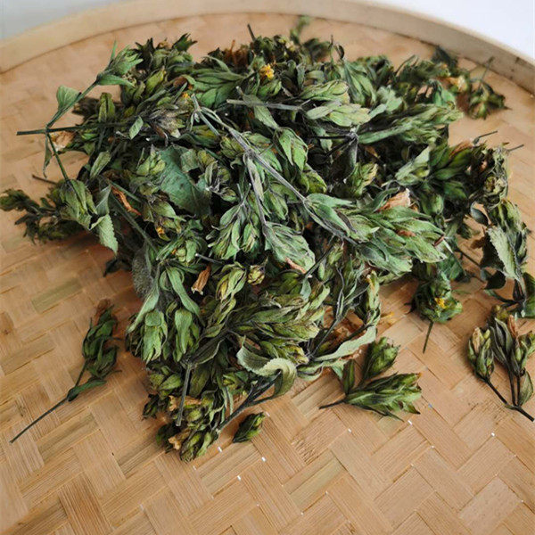 正宗黑面将军干花马来西亚化石草脆叶马兰草大叶蛇草地毯草干花