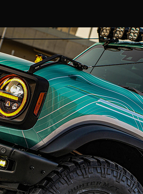 适用于福特国产烈马改装雨林分割线前挡引擎盖树枝分离树枝线配件