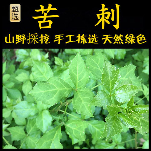 新鲜现采白簕菜潮汕青草堂苦刺