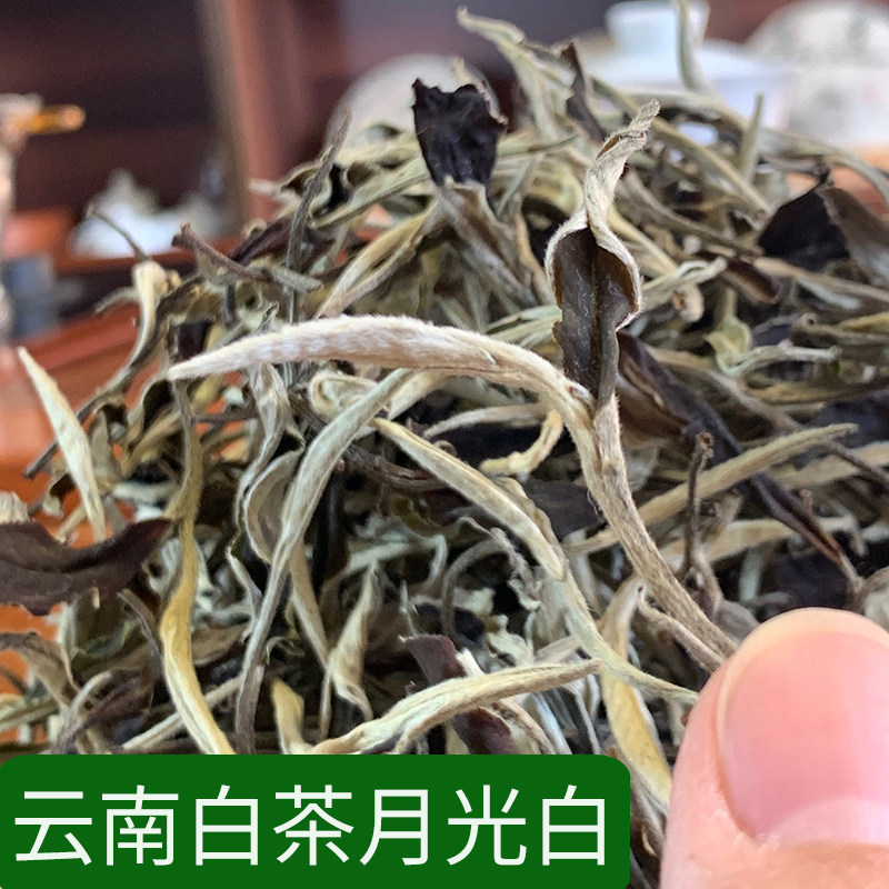 程健云南白茶月光白散茶