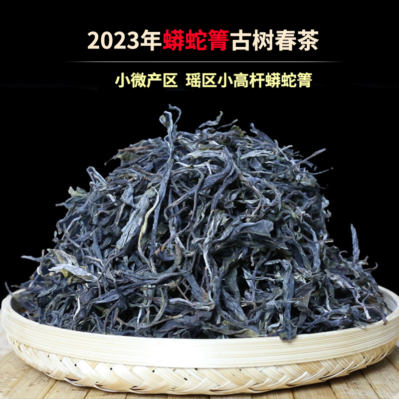 2023年的蟒蛇箐古树茶