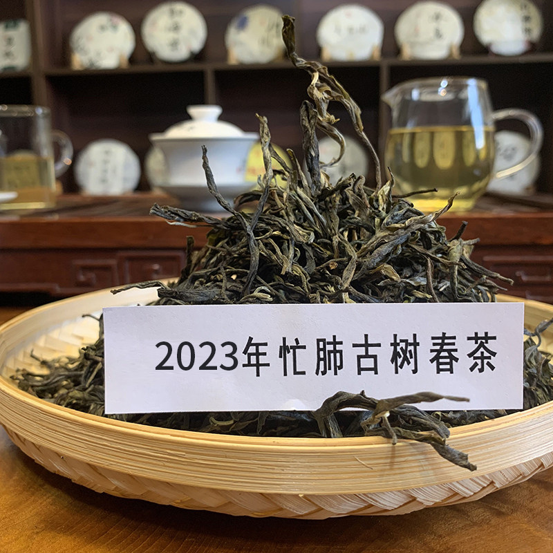 忙肺老寨忙肺核心产区普洱茶春茶