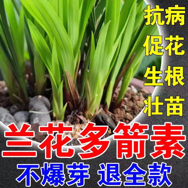 兰花多箭素爆芽素营养液蝴蝶兰君子兰花箭优芽素兰灵王肥料专用肥,鲜花速递/花卉仿真/绿植园艺,家庭园艺肥料,淘宝优惠券,粉丝福利购,淘宝优惠卷