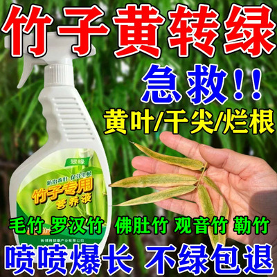 竹子专用肥料佛肚竹红竹营养液罗汉竹发黄小叶毛竹内门竹勒竹肥料