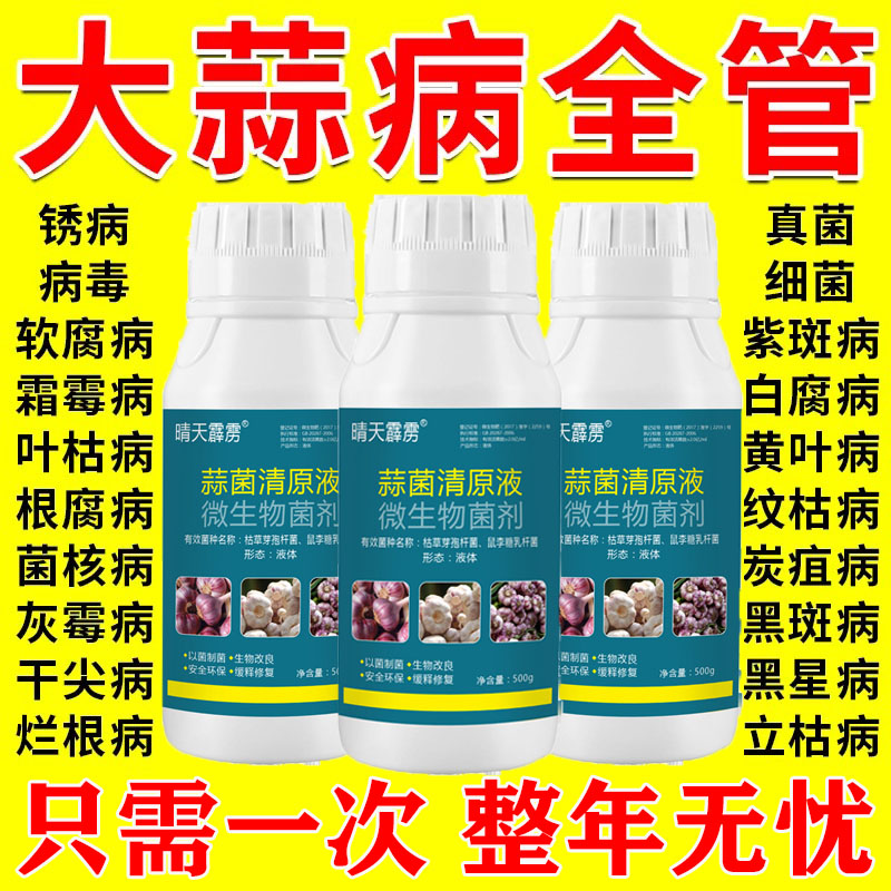 蒜菌清原液大蒜病害药防干尖黄叶锈病紫斑病杀菌抑菌微生物菌剂