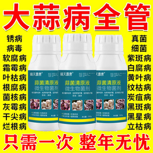 蒜菌清原液大蒜病害防干尖黄叶锈病紫斑病以菌抑菌微生物菌剂