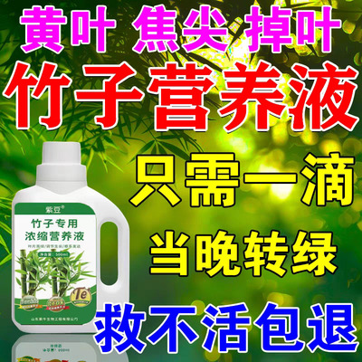 竹子专用营养液竹子专用肥料急救叶子发黄烂根药竹子黄叶药营养液