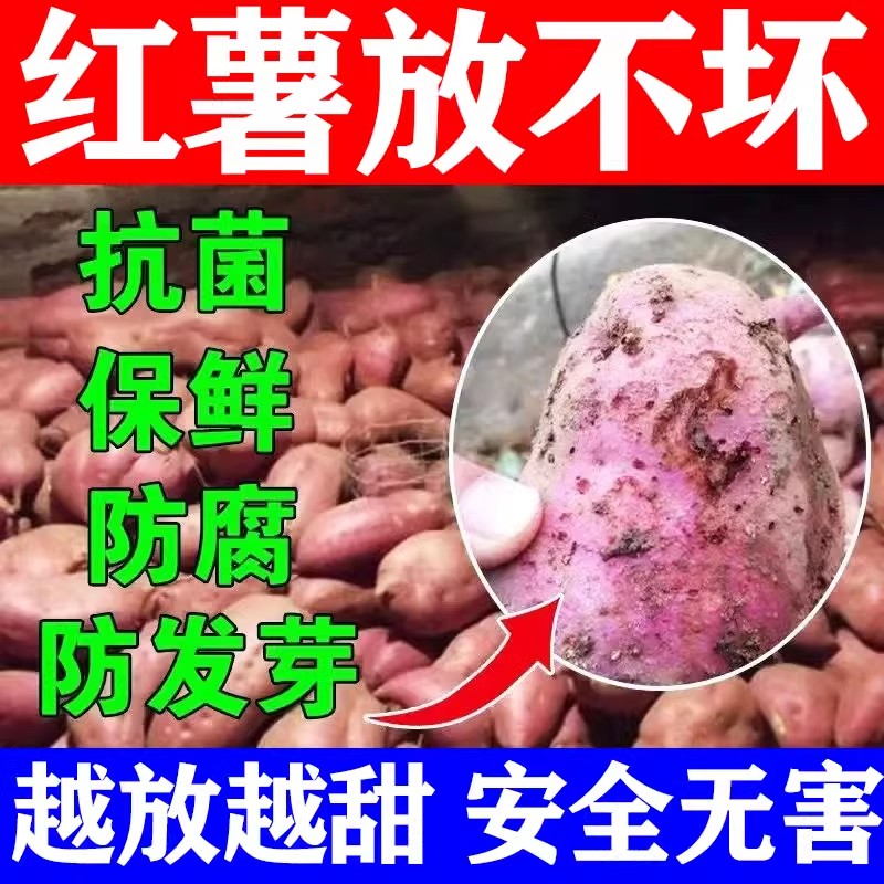 红薯保鲜剂防腐防烂防坏防黑斑紫薯保鲜药预防发芽延长储存时间