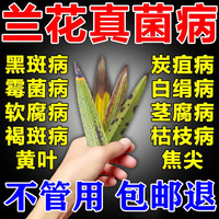 兰花病专用药杀菌剂专治兰花烂根黄叶软腐病黑斑病土壤消毒百菌灵