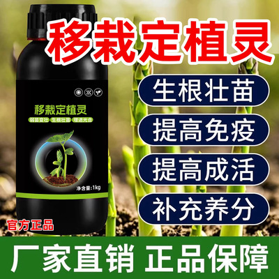 移栽扦插定植灵植物定苗移植增加成活率生根剂壮苗高吸收水溶肥料