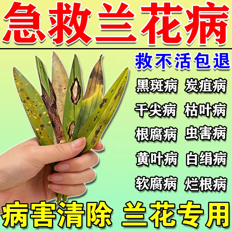 兰花病专用药杀菌剂专治兰花烂根黄叶软腐病黑斑病土壤消毒百菌灵图片