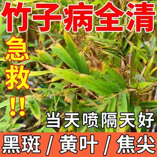 竹子专用肥料竹子黑斑病专用药叶子发黄干尖米簕竹子类营养液杀菌