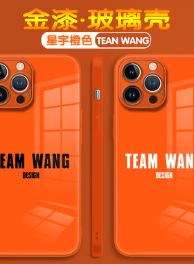 王嘉尔潮牌TEAM WANG适用苹果17promax手机壳华为p80高级小米15创意简约橙色Reno12防摔IQOO13明星情侣玻璃壳