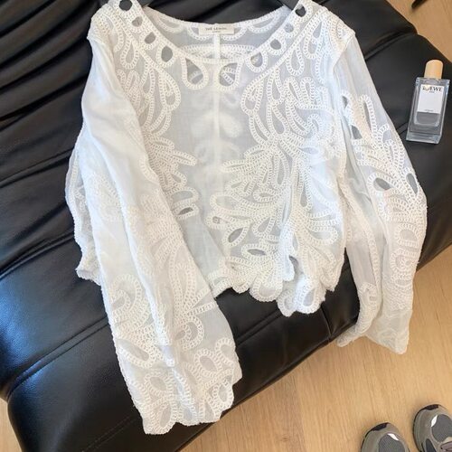 小香风刺绣镂空蕾丝雪纺衫女春装设计感宽松长袖衬衣甜美叠穿上衣