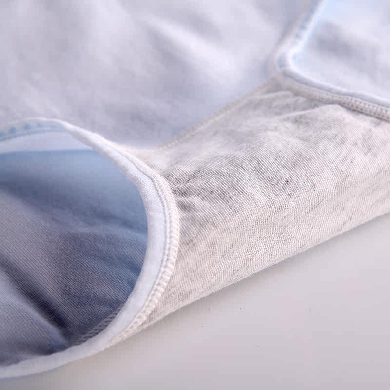 Slip Moyen-âge N016X20332-5 en coton - Ref 669113 Image 4