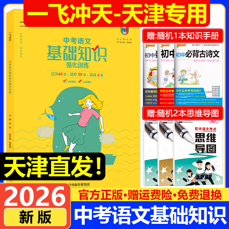 2026新版一飞冲天中考语文基础知识强化训练九年级初中语文基础知识积累与运用巩固提升 初三9年级语文专项练习复习资料辅导书