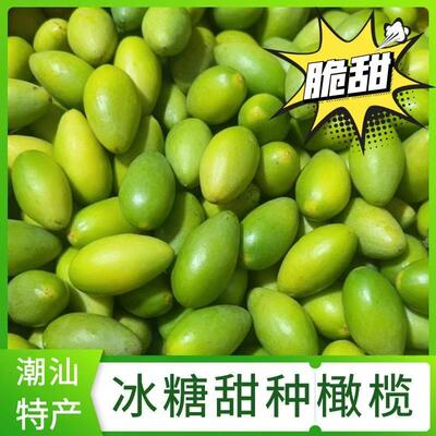 甜橄榄特甜甜种金灶现摘冰糖橄榄果生吃酥脆无渣特甘甜青翠生橄榄