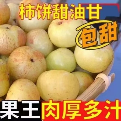 潮汕普宁甜油柑王甜油甘新鲜