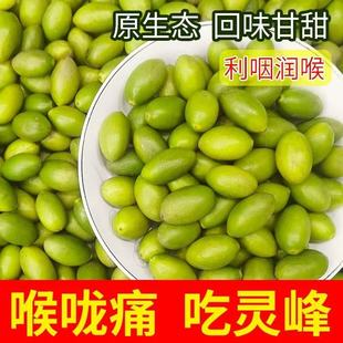特级送礼潮汕灵峰橄榄新鲜现摘酥脆生吃甘香甜种凌峰青橄榄水果香