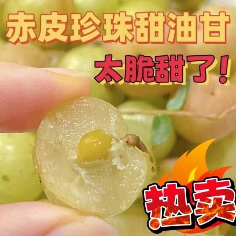 时令新鲜油甘果橄榄果甜油甘余甘子牛甘果脆甜无渣小籽回甘好包甜