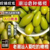 潮汕特产新鲜现摘香种黄橄榄檀香生吃甘香浓郁孕妇水果天然生青果