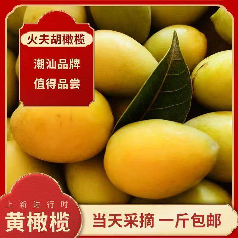 潮汕特产新鲜现摘火烧埠黄橄榄果生吃甘香浓郁泡酒孕妇煲汤去胎毒