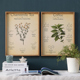 客厅餐厅书房简约床头壁画挂 饰画 美式 田园复古实木植物笔记装