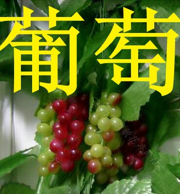 苏州南京上海北京 高仿真葡萄串带叶子 葡萄叶 葡萄 装饰葡萄叶