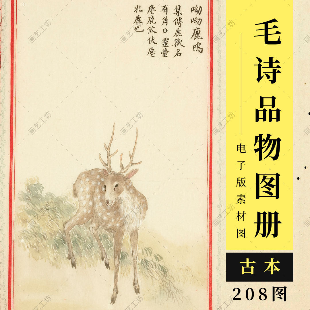 毛诗品物图考册诗经配图彩绘插画古本书花鸟国画瑞兽临摹高清大图